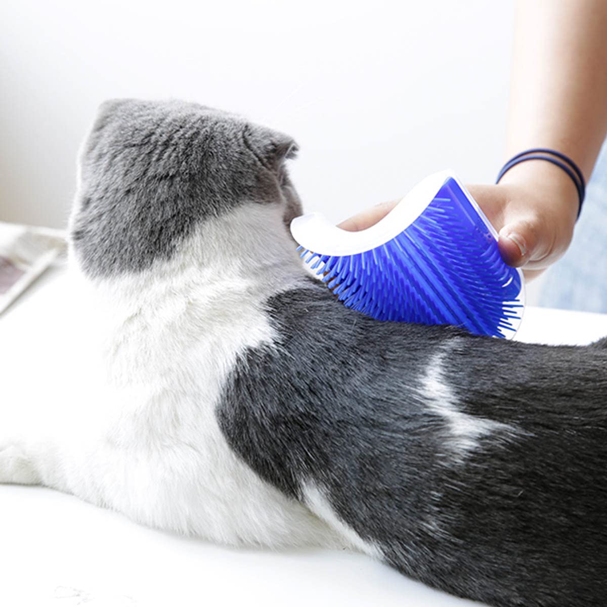 Nova Pets Kitten Self Groomer Wall Brush
