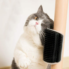 Nova Pets Kitten Self Groomer Wall Brush