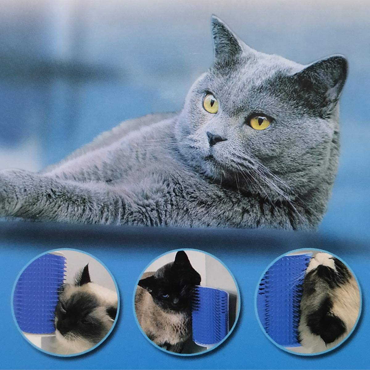 Nova Pets Kitten Self Groomer Wall Brush